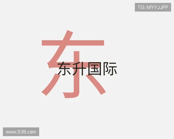 认识东升国际
